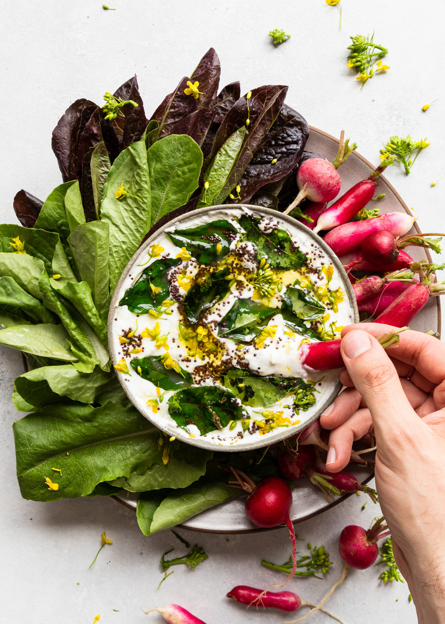 Cucumber Yogurt Raita Dip with Mustard Seed