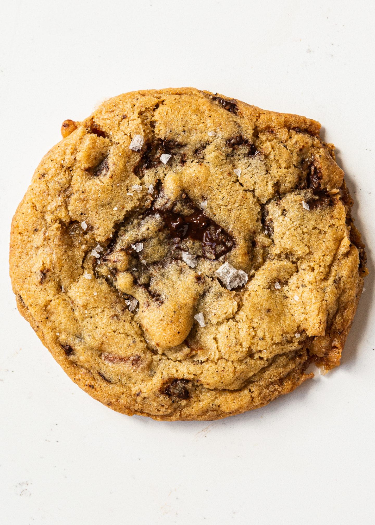 chocolate chip cookie