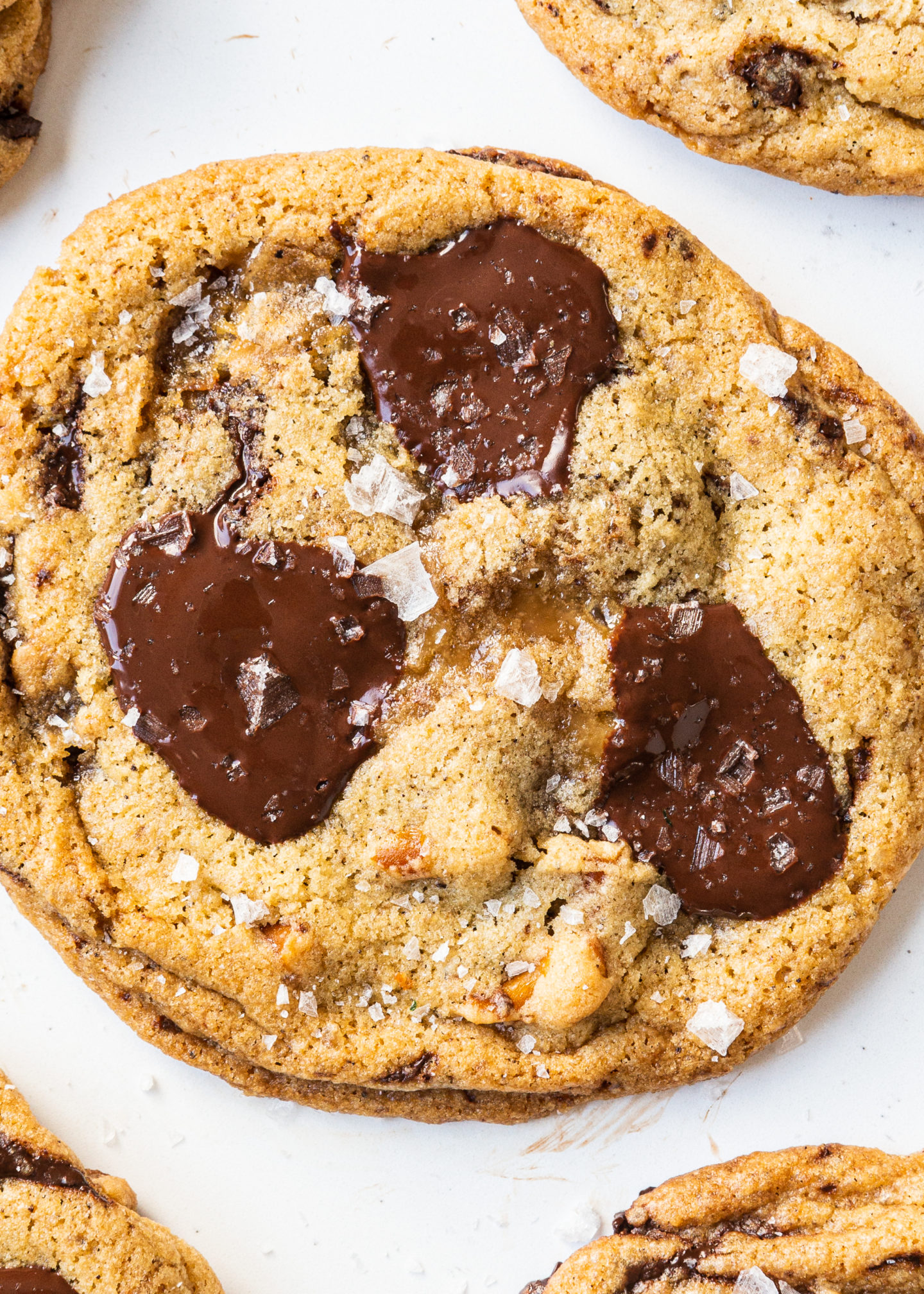 chocolate chip cookie