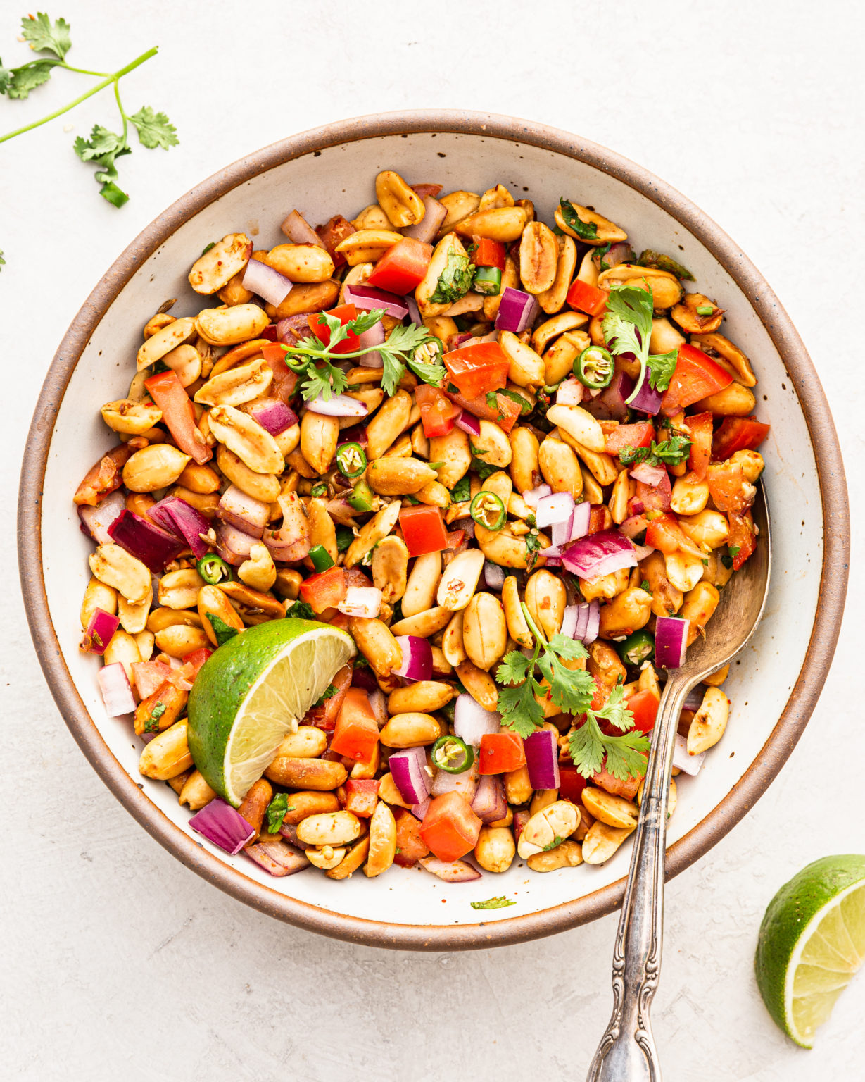 Peanut Chaat with Onions Tomatoes and Cilantro rachel gurjar